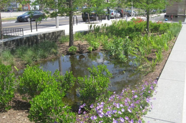 BioGarden